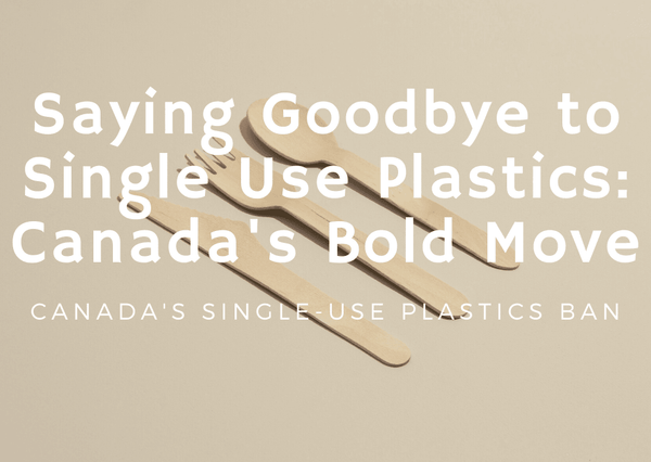 Saying Goodbye to Single Use Plastics: Canada's Bold Move - Green Bohème
